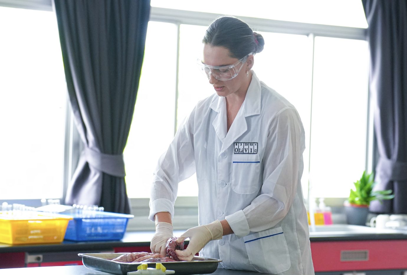 Olivia leading a dissection practical in the lab